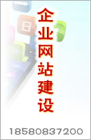 企業(yè)網(wǎng)站建設(shè)