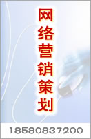 網(wǎng)絡(luò)營銷策劃